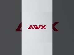 رقيقة تحمل الجدار